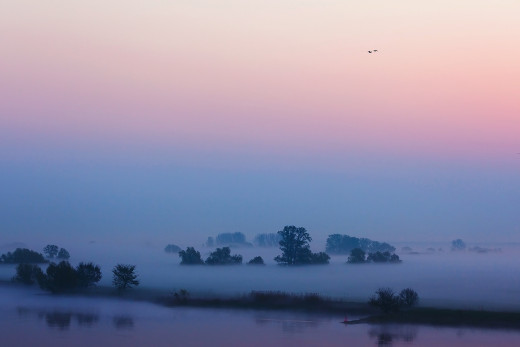 866749 (a): :1920x1280